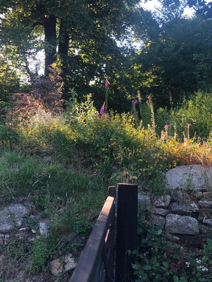 Corndonford Farm Bed and Breakfast Newton Abbot Exteriör bild