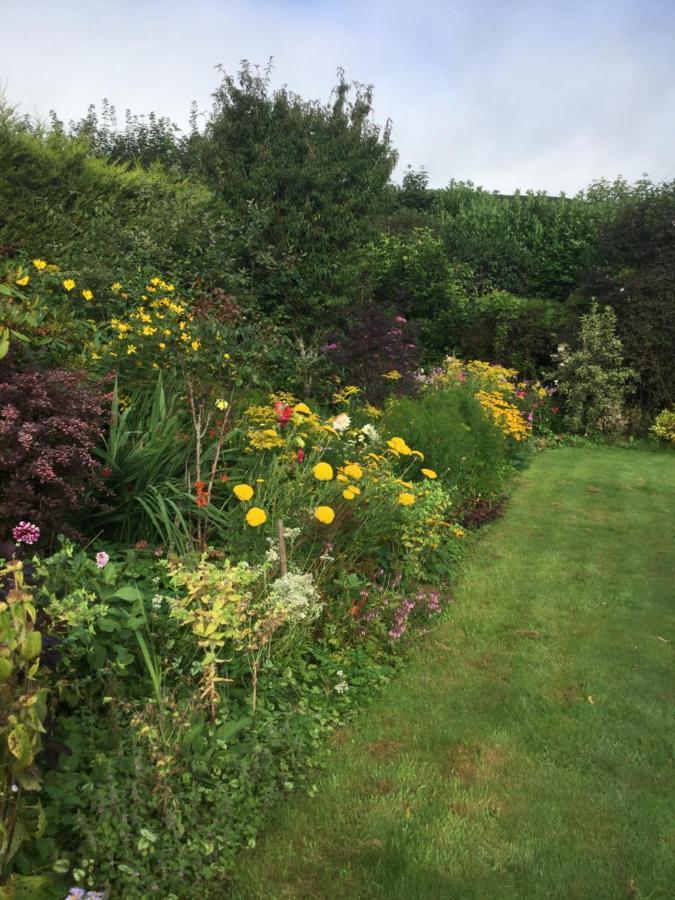 Corndonford Farm Bed and Breakfast Newton Abbot Exteriör bild