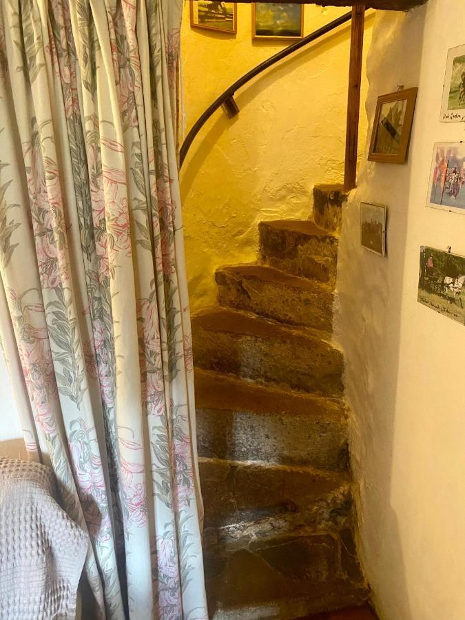 Corndonford Farm Bed and Breakfast Newton Abbot Exteriör bild