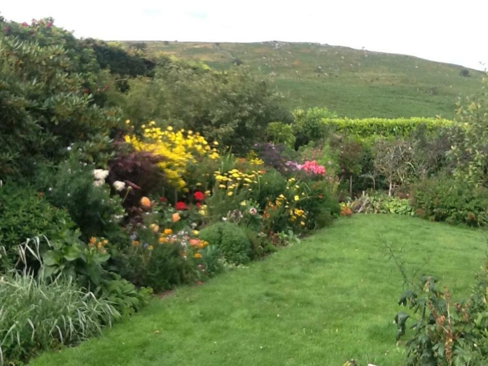 Corndonford Farm Bed and Breakfast Newton Abbot Exteriör bild